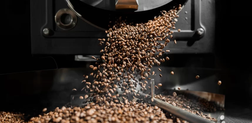 Black Slider Cafe, Roastery